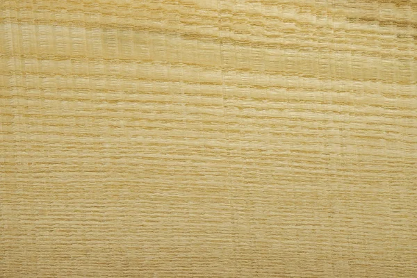 Backdrop or background wooden. Veneer olive ash tree. — Stock Photo, Image