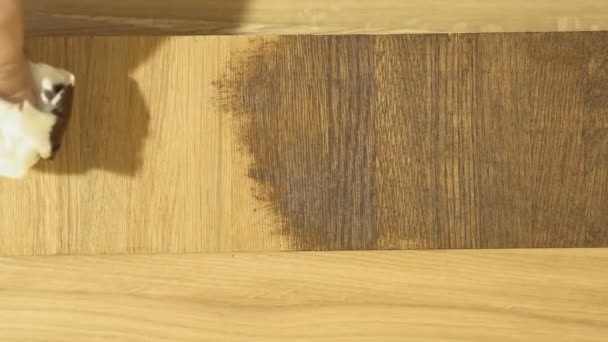 Aplicación de una capa protectora sobre una superficie de madera . — Vídeos de Stock