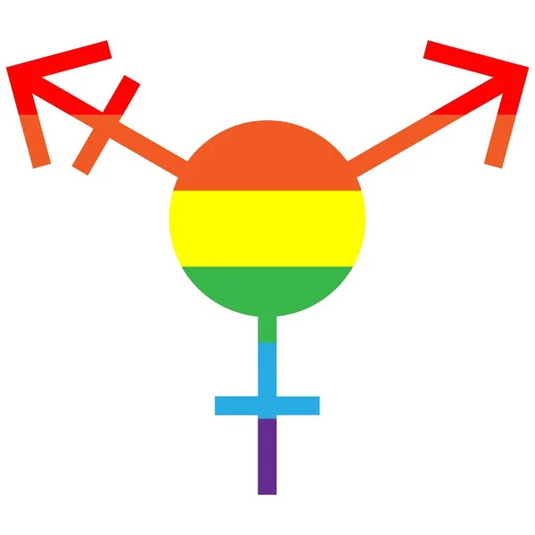Lgbt Stolz Regenbogenvektor. Transgender. Rechte von Schwulen und Lesben. — Stockvektor