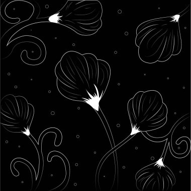 İnce beyaz çizgilerden çiçekler çiziyor. Siyah arkaplan.