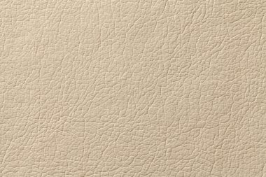 Light beige leather texture background with pattern, closeup clipart