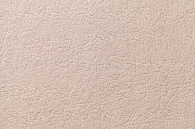 Beige leather texture background with pattern, closeup clipart