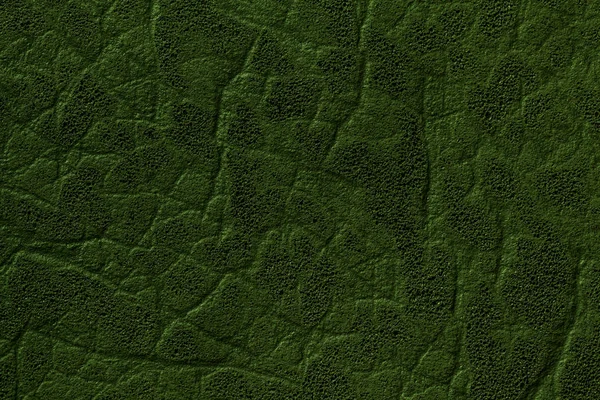 Koyu yeşil Yapay deri arka plan doku ve desen, closeup ile — Stok fotoğraf