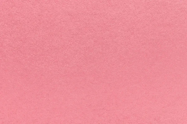 Bright Light Pink Paper Smooth Cardboard Texture Stock Photo - Download  Image Now - Abstract, Archival, Art - iStock