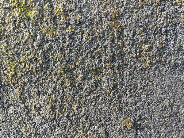 Antiga parede de pedra cinza antiga coberta com musgo — Fotografia de Stock