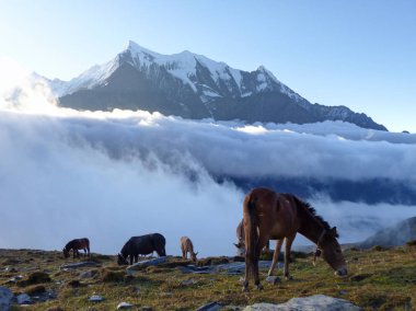  Sabah mera Himalayalar 