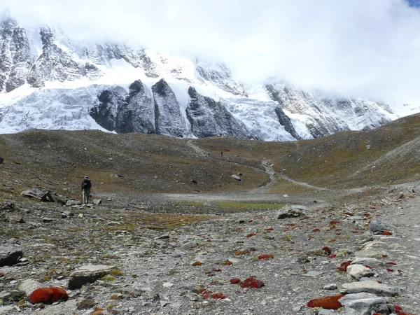 Патч под снегом закрыл Гималаи — стоковое фото