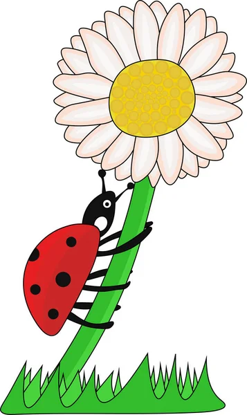 Illustrazione Coccinella arrampicata sul Fiore — Vettoriale Stock