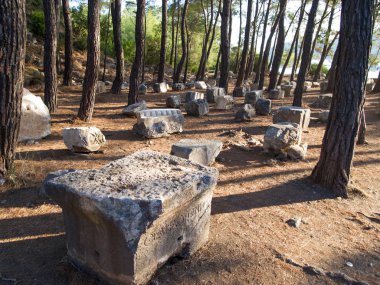 Phaselis çam ormanı içinde güzel Harabeleri