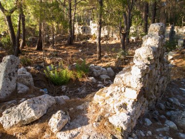 Phaselis çam ormanı içinde güzel Harabeleri