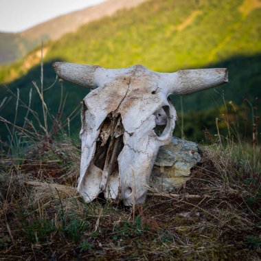 Gürcistan'daki Kafkas dağlarında turizm