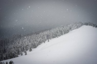 Dağlarda kar düşüyor