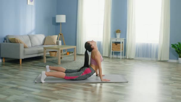 Temel Yoga Pozisyonları: Kadın — Stok video
