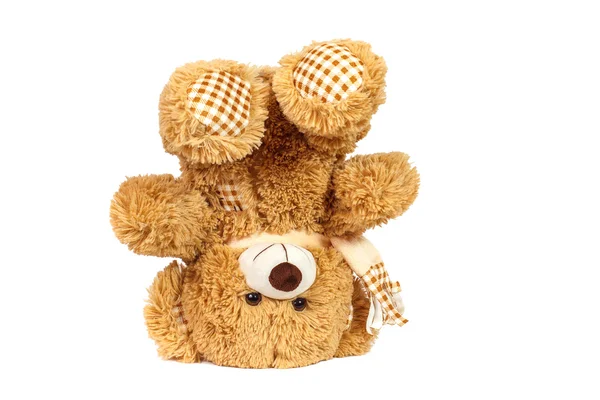 Toy teddy bear — Stock Photo, Image