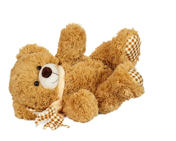 Beyaz bir arka planda oyuncak ayı