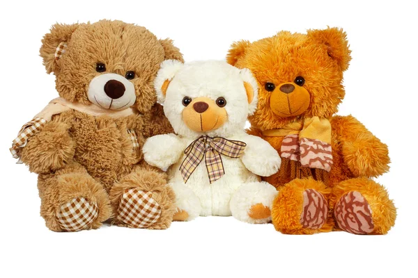 Trois ours en peluche — Photo