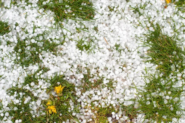 Severe weather. Hail on green grass