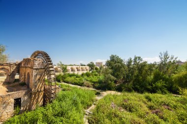 Cordoba, Andalusia Eyaleti, İspanya eski watermill kalıntıları.