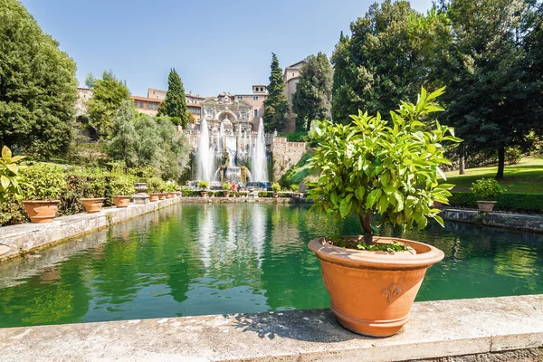 各种植物和花园的别墅埃斯特，蒂沃利在罗马，意大利拉齐奥大区附近的池塘. — 图库照片
