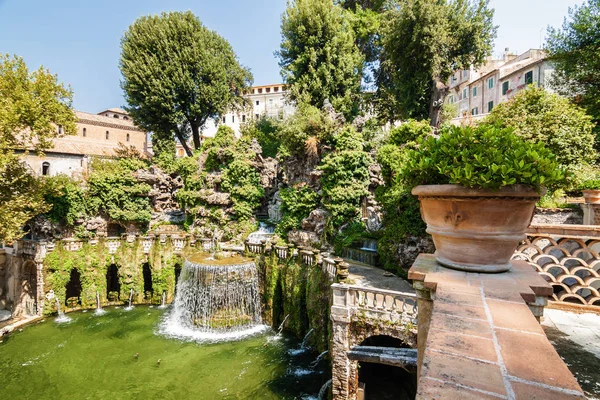 乐观的观点，丰塔纳 dell'Ovato、 喷泉和花园别墅埃斯特，附近罗姆人，拉齐奥大区，意大利蒂沃利. — 图库照片