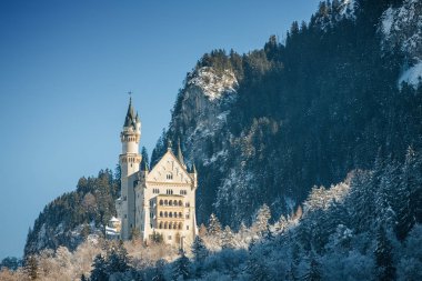 Karlı Bavyera Alpleri ve Neuschwanstein sisli sabah, Bavyera, Almanya kale.