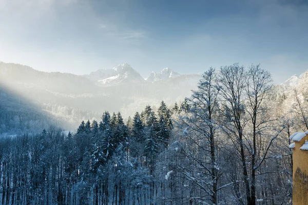 Снежные Баварские Альпы в туманное утро, Бавария, Германия . — стоковое фото