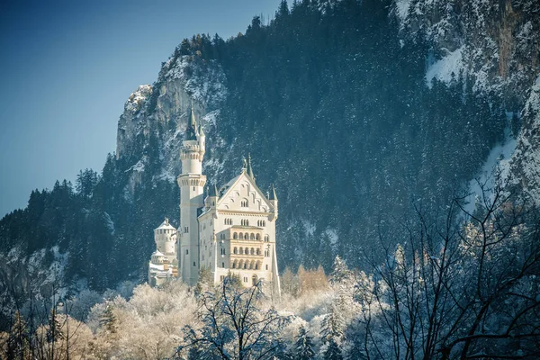 Besneeuwde Beierse Alpen en Neuschwanstein kasteel op mistige ochtend, Beieren, Duitsland. — Stockfoto