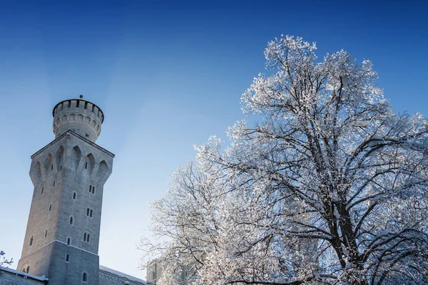 G ババリア、ノイシュヴァンシュタイン城の塔の一つの日当たりの良いビュー — ストック写真