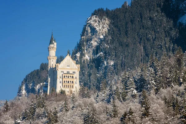Besneeuwde Beierse Alpen en Neuschwanstein kasteel op mistige ochtend, — Stockfoto