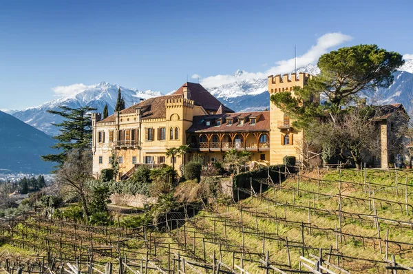 Vista soleada de los viñedos valle del castillo Ramets cerca de Merano, región de Trentino-Alto-Adige, Italia . — Foto de Stock