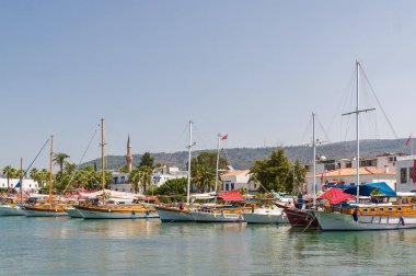 Bodrum, Muğla ilinin yakınındaki Ortakent güzel topraklarında.