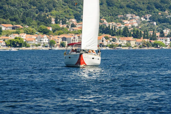 Vue Ensoleillée Yacht Dans Baie Kotor Près Ville Herceg Novi — Photo