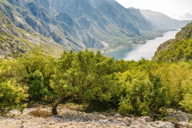 Risan, Karadağ, Avrupa yakınlarındaki Boka Kotor Körfezi 'nin güneşli sabah manzarası.