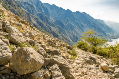 Risan, Karadağ, Avrupa yakınlarındaki Boka Kotor Körfezi 'nin güneşli sabah manzarası.