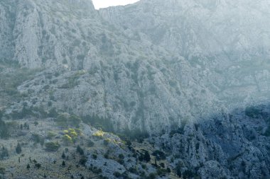 Karadağ 'ın Kotor Körfezi' nin güneşli sabah panoramik manzarası.