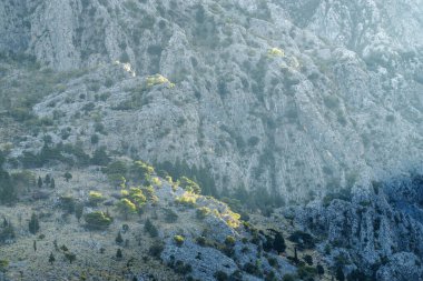 Karadağ 'ın Kotor Körfezi' nin güneşli sabah panoramik manzarası.
