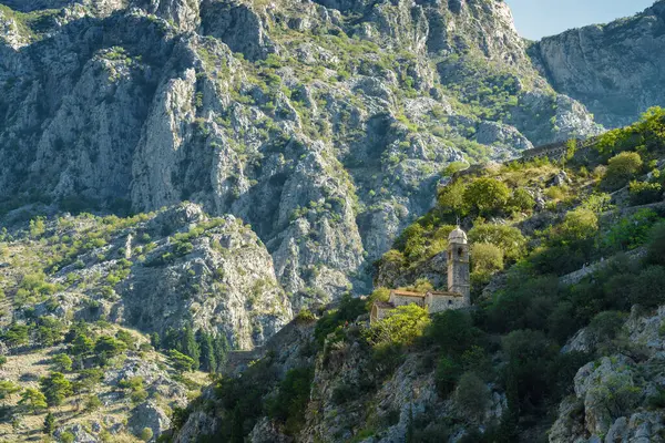 Vista Panorámica Mañana Soleada Bahía Kotor Cerca Del Casco Antiguo —  Fotos de Stock