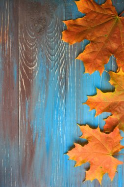 Mavi ve kahverengi ahşap arka plan üzerinde renkli sonbahar yaprakları