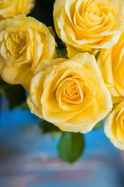 Rosas amarillas con gotas de agua sobre fondo azul — Foto de Stock