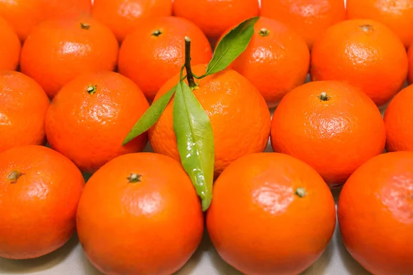 Фон многих вкусных оранжевых цитрусовых танжеринов — стоковое фото