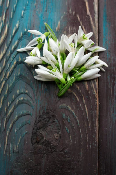 Heart of white snowdrops on blue and brown wooden background — Stock Photo, Image