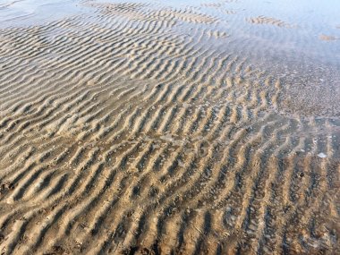 Peyzaj boş Coast baharında. Mobil fotoğrafçılık