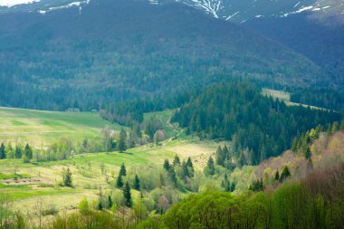 Dağlarda çam ormanı ve yeşil Vadisi'nin büyük peyzaj
