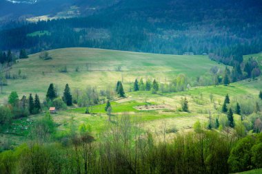 Dağlarda çam ormanı ve yeşil Vadisi'nin büyük peyzaj