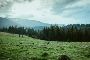 Manzara bahar büyük Dağları