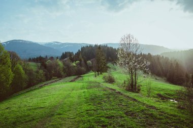 Manzara bahar gün batımında büyük dağların