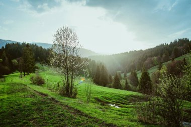 Manzara bahar gün batımında büyük dağların