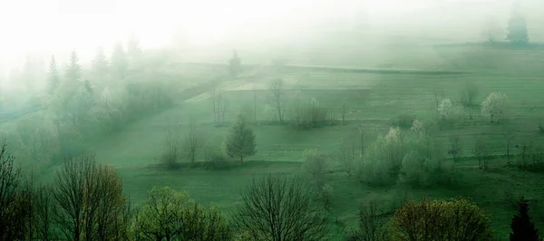 Paesaggio di grandi montagne in primavera nella giornata nuvolosa — Foto Stock