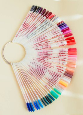 paletle shellac oje renkleri