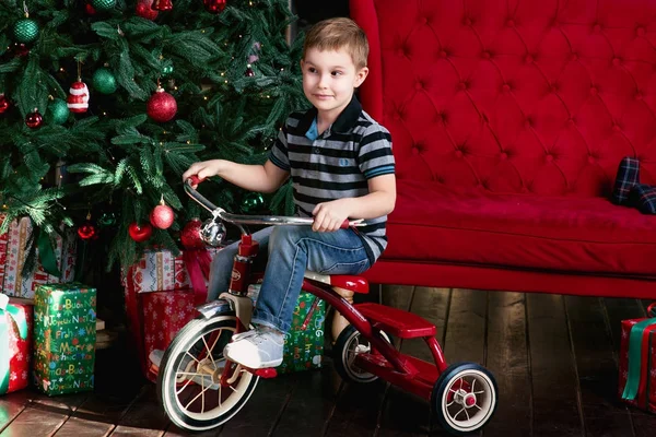 Küçük çocuk binicilik bisiklet Noel ağacı ile odada gülümseyen, yeni yıl hediyeleri, kırmızı Koç, fotoğraf stüdyosu kitap raf
